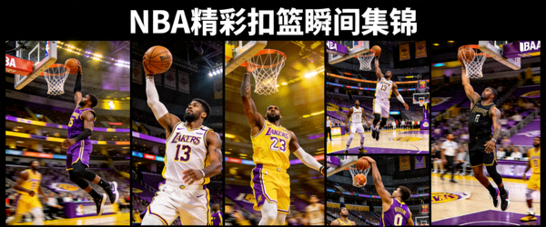 低调看球网底部Logo - 绿色体育直播平台标志